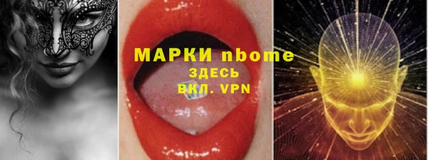 СК Алексин