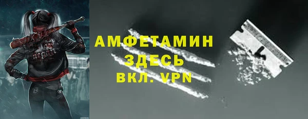СК Алексин