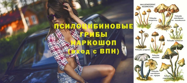 твердый Алзамай