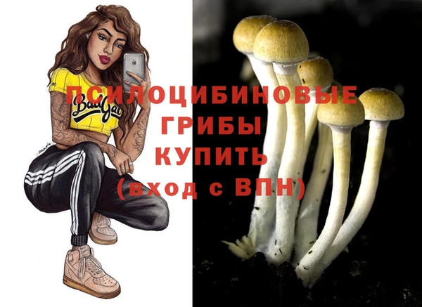 СК Алексин