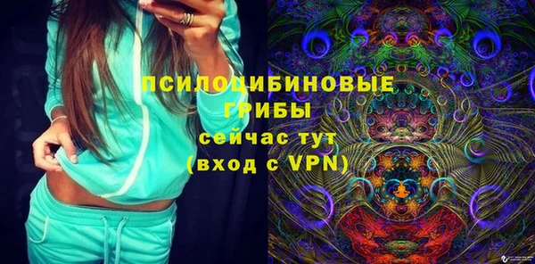 твердый Алзамай