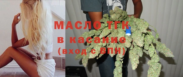 СК Алексин