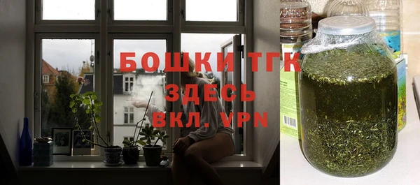СК Алексин