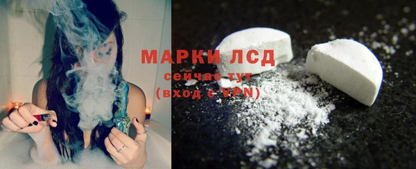 СК Алексин